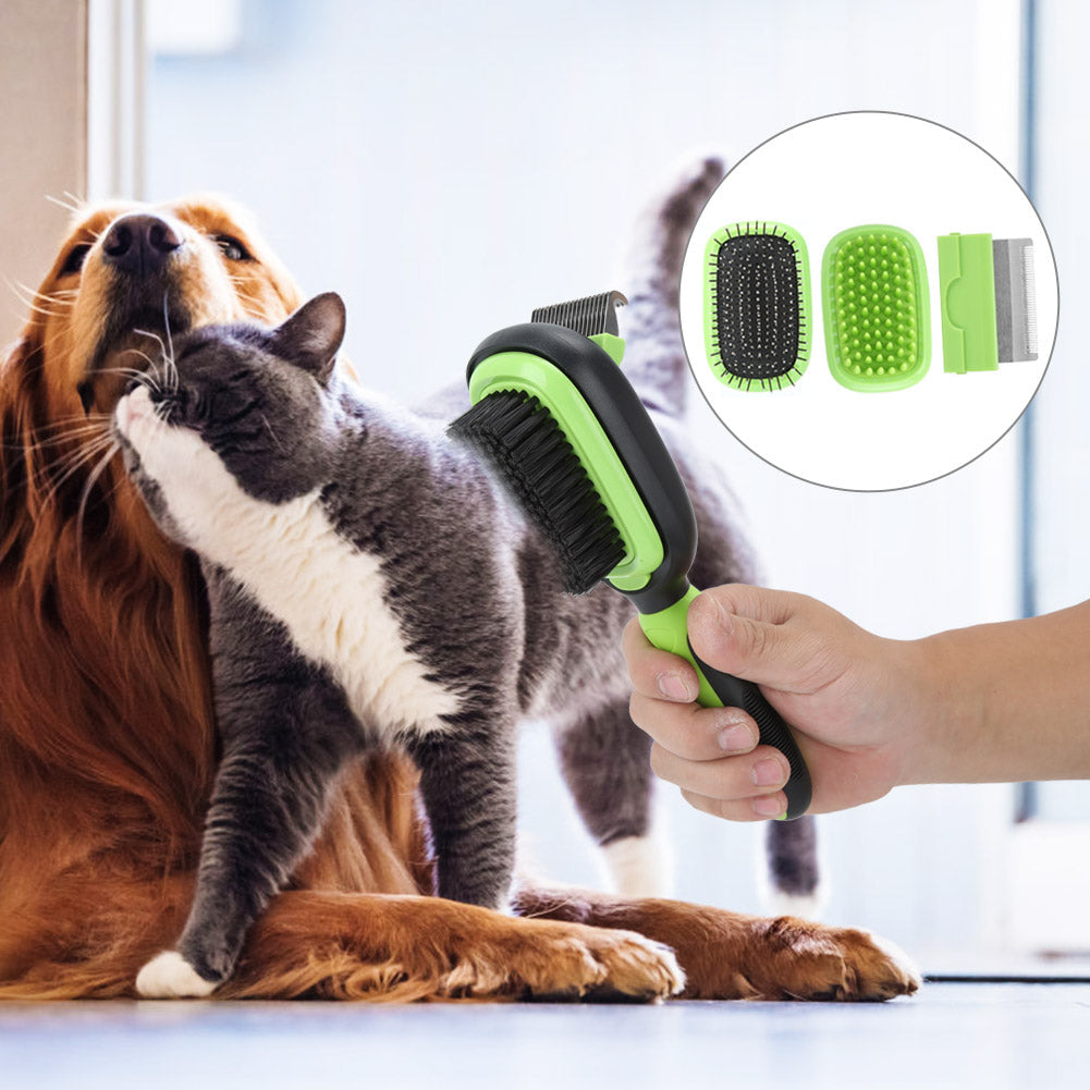 5 Essential Grooming Tips for Dogs & Cats at Home