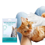 Cat Essentials