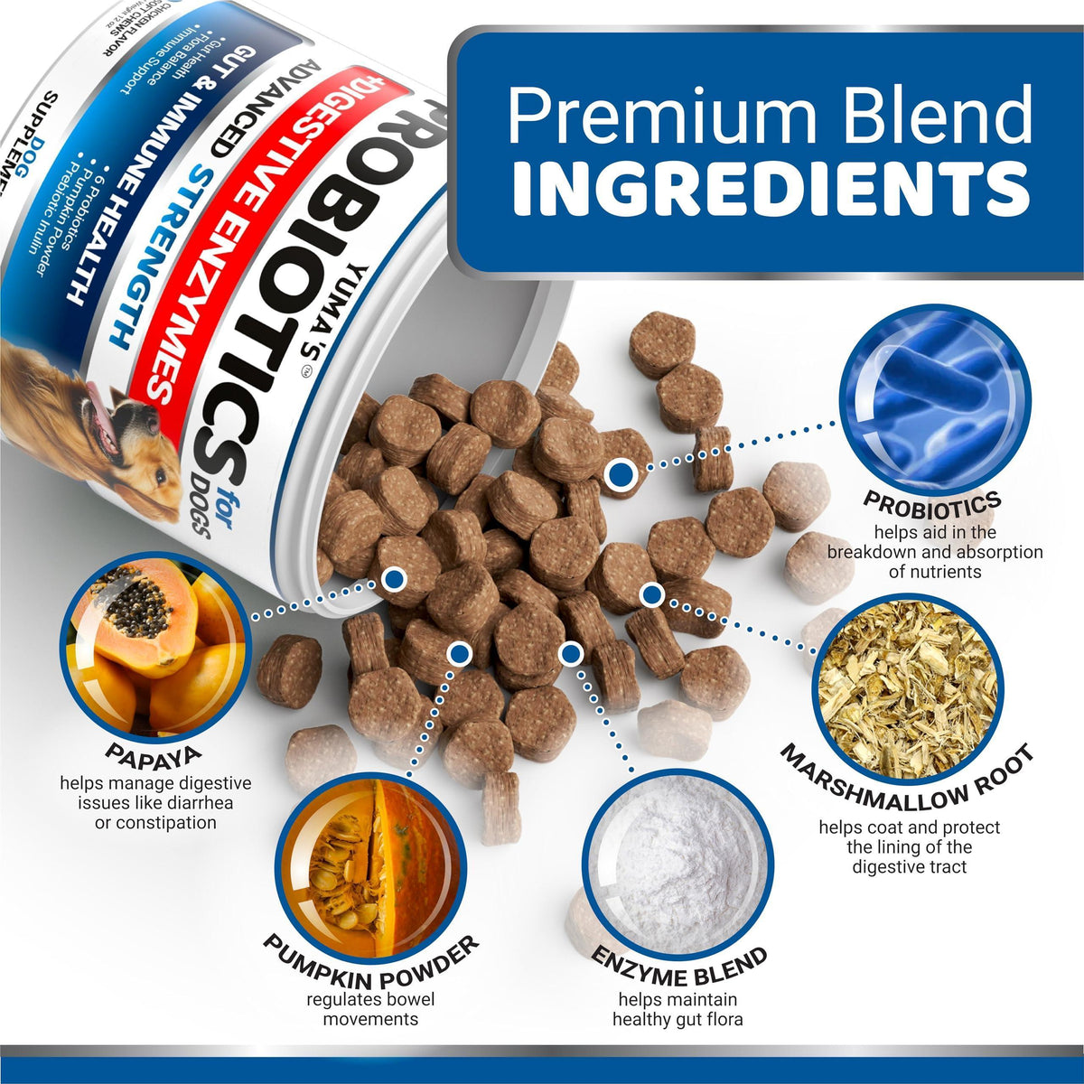 Probiotic & Allergy Supplements