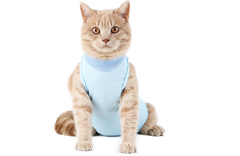Weaning Clothes for Female Cats - Breathable & Thin