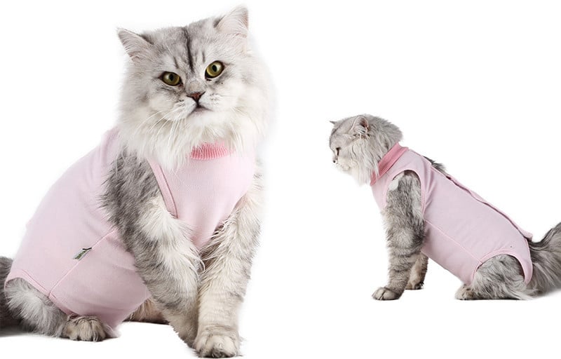 Weaning Clothes for Female Cats - Breathable & Thin
