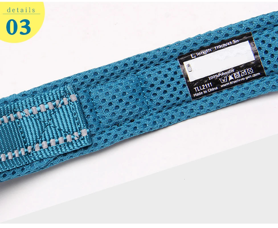 Reflective Dog Leash — Nylon Webbing with Zinc Alloy Hook for Small & Large Dogs