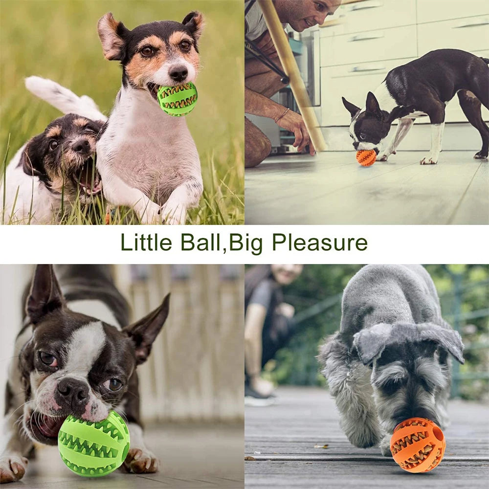 Rubber Dog Snack Ball Toy — Teeth Cleaning Treat Dispenser for Puppies & Large Dogs