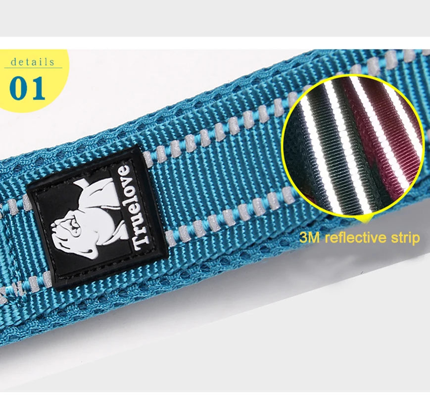 Reflective Dog Leash — Nylon Webbing with Zinc Alloy Hook for Small & Large Dogs