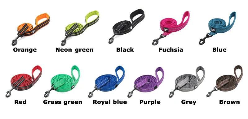 Reflective Dog Leash — Nylon Webbing with Zinc Alloy Hook for Small & Large Dogs