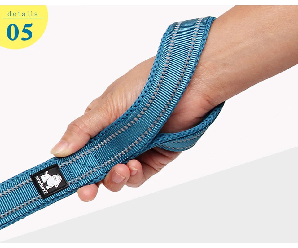 Reflective Dog Leash — Nylon Webbing with Zinc Alloy Hook for Small & Large Dogs