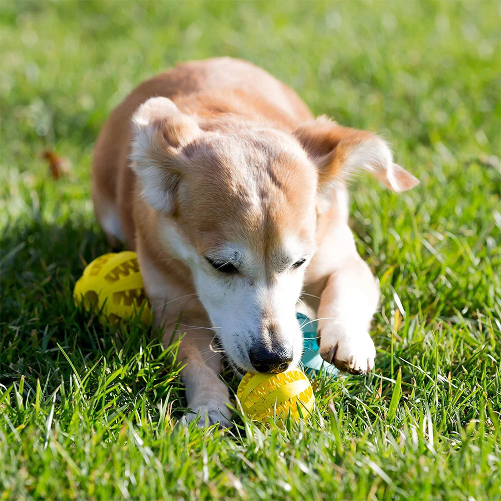 Rubber Dog Snack Ball Toy — Teeth Cleaning Treat Dispenser for Puppies & Large Dogs