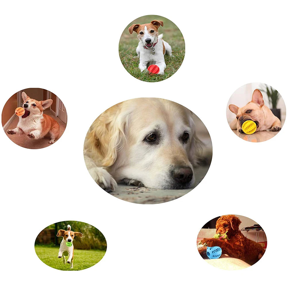 Rubber Dog Snack Ball Toy — Teeth Cleaning Treat Dispenser for Puppies & Large Dogs