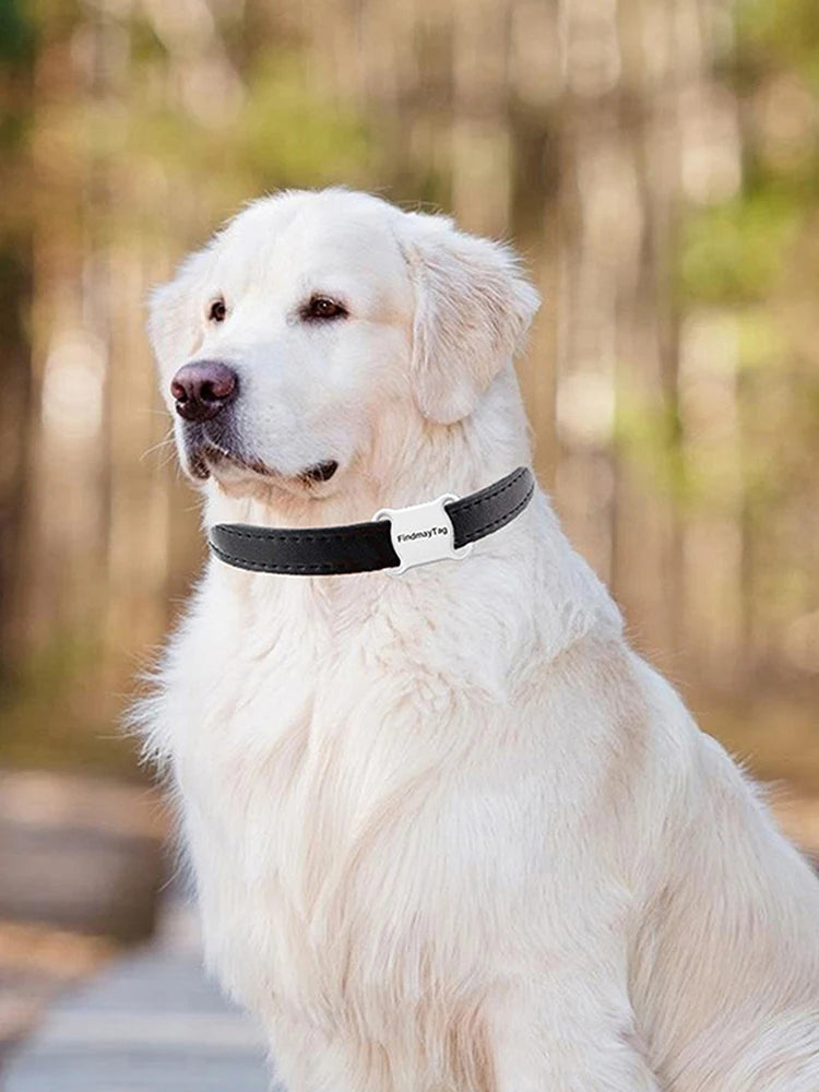 Mini Pet GPS Tracker Waterproof Bluetooth for Dogs & Cats