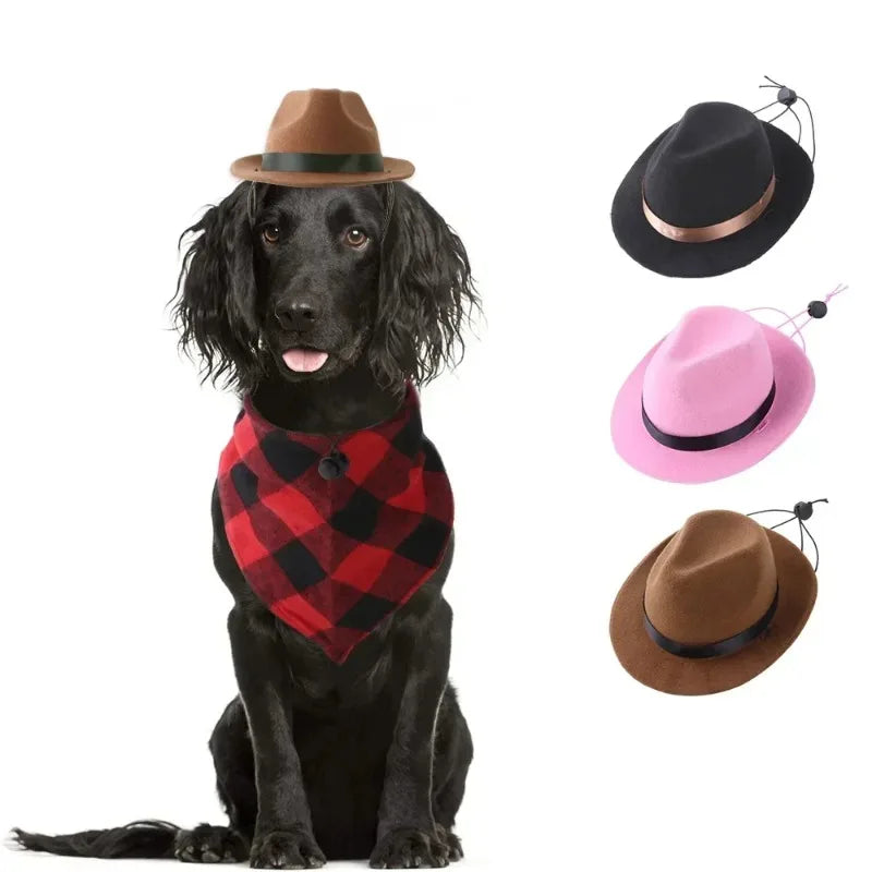 Western Cowboy Pet Hat