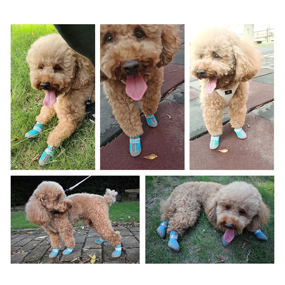 Mesh Pet Dog Shoes Durable Breathable Soft Sole Reflection Dogs Boots for Small Dogs Walking Climbing Dogs Sneakers Cats Shoes