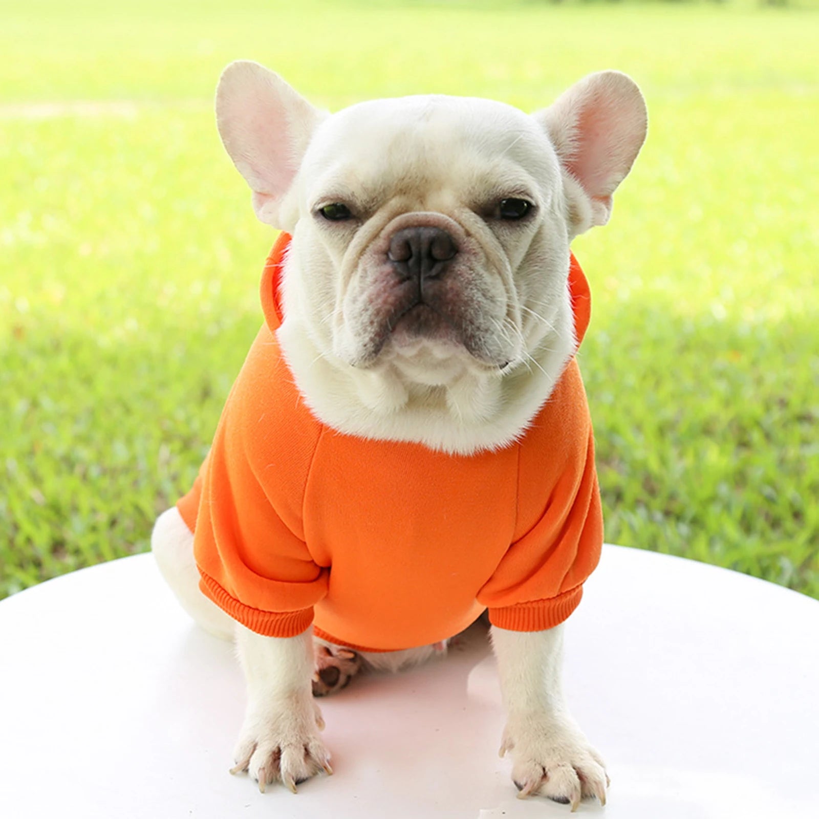 Warm Hooded Pet Sweater