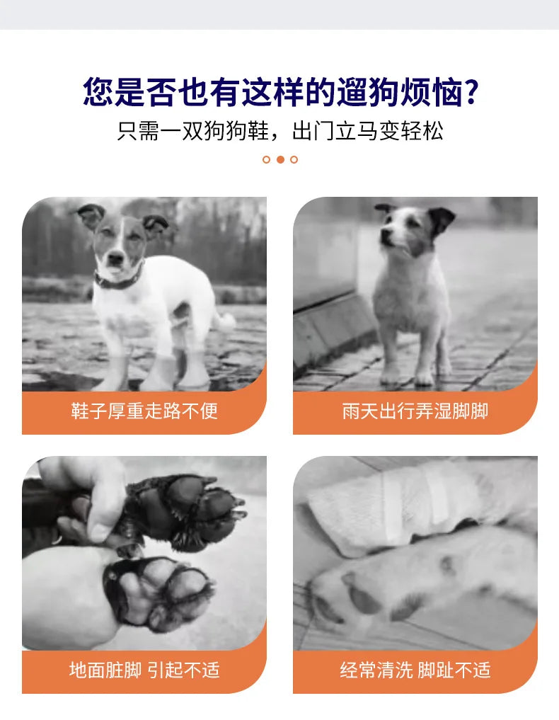 Europe And The United States Wind Non-Slip Tide Pet Shoes Breathable Mesh Pet Shoes Adorable Pet Warm Anti-Shedding Sneakers