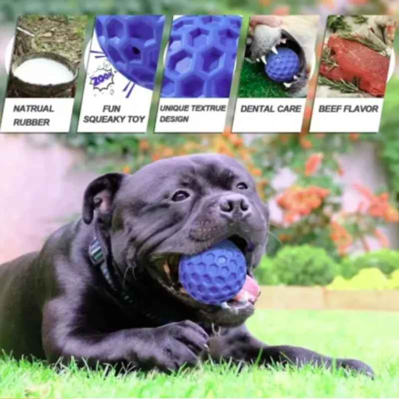 Bite-Resistant Honeycomb Dog Toy Ball — Natural Rubber Teething & Teeth Cleaning