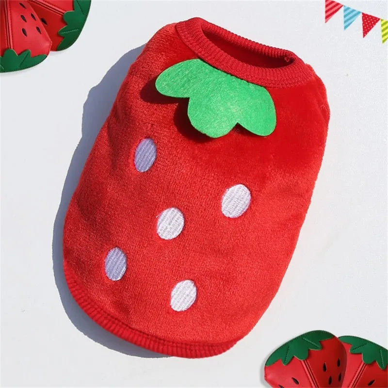 Cartoon Fleece Pet Sweater