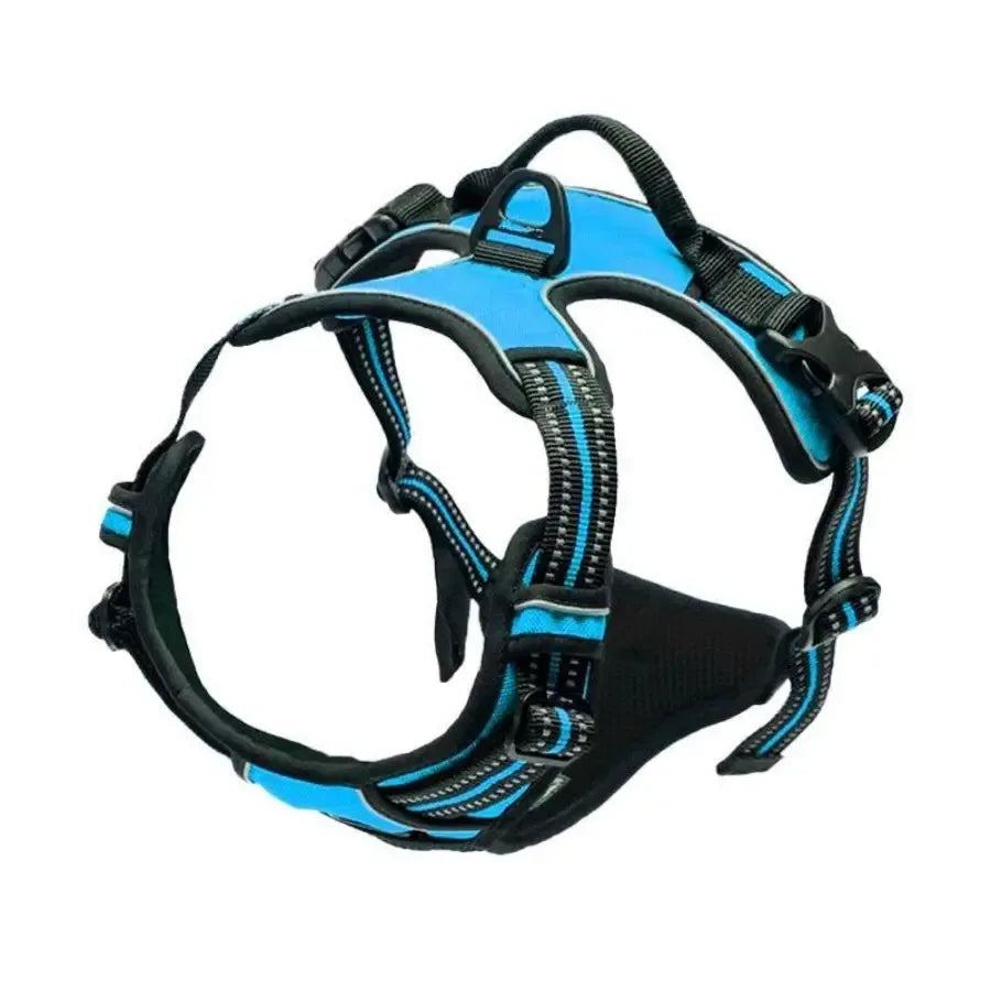 Dog Harness & Leash Set — Leather Vest for Small & Medium Dogs