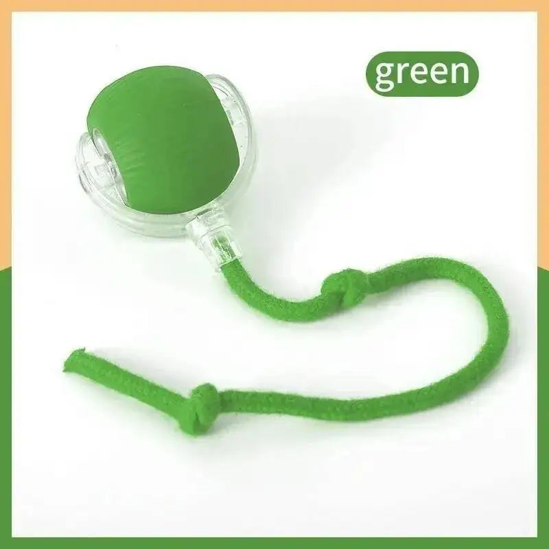 Smart Dog Toy Ball USB Rechargeable Auto Moving for Dogs & Cats