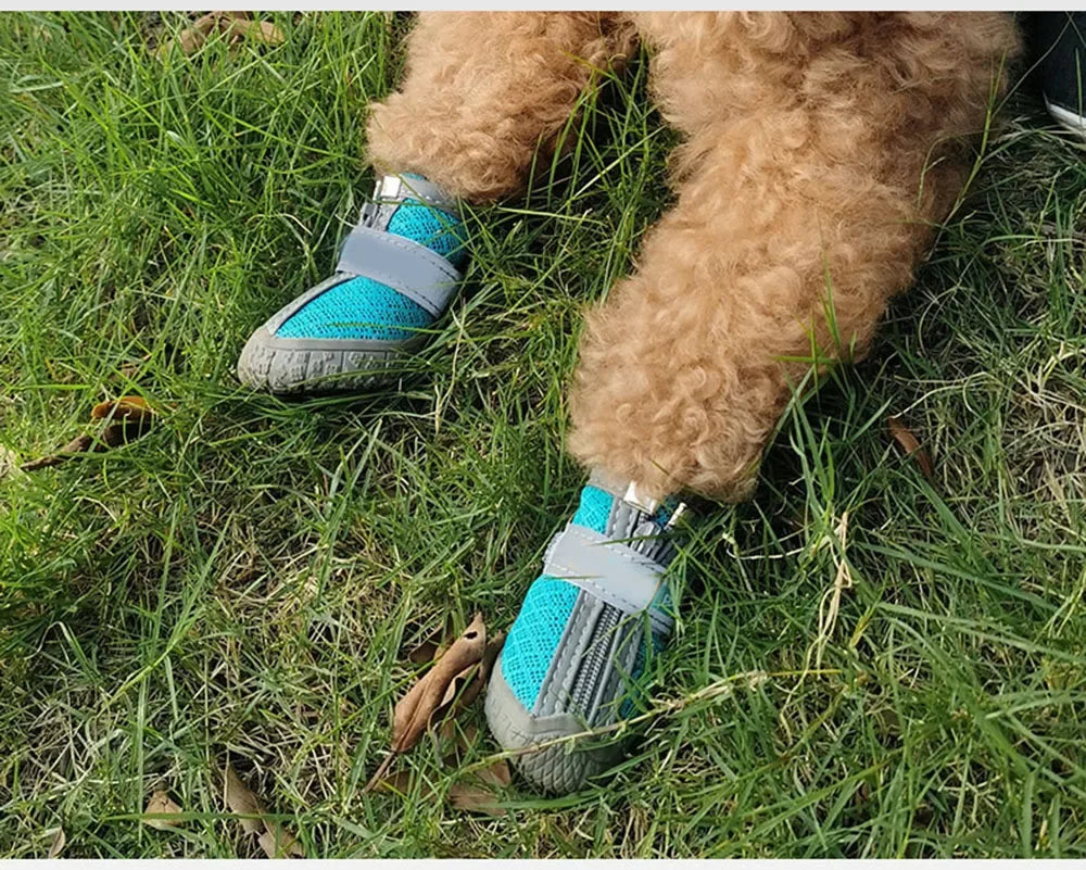 Mesh Pet Dog Shoes Durable Breathable Soft Sole Reflection Dogs Boots for Small Dogs Walking Climbing Dogs Sneakers Cats Shoes