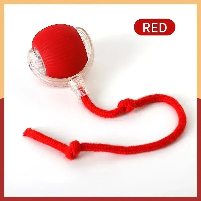 Smart Dog Toy Ball USB Rechargeable Auto Moving for Dogs & Cats