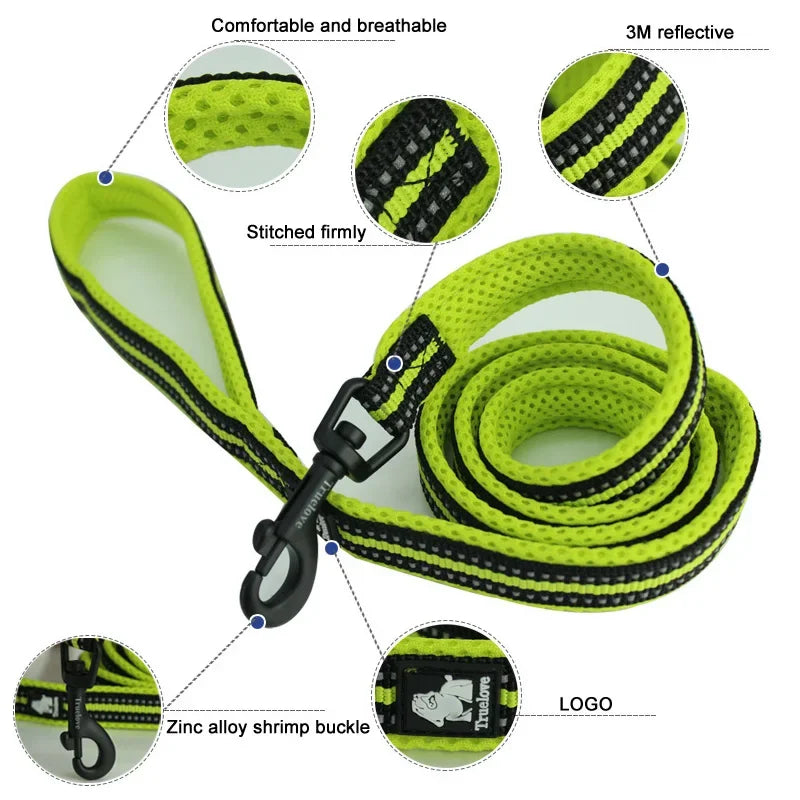 Reflective Dog Leash — Nylon Webbing with Zinc Alloy Hook for Small & Large Dogs
