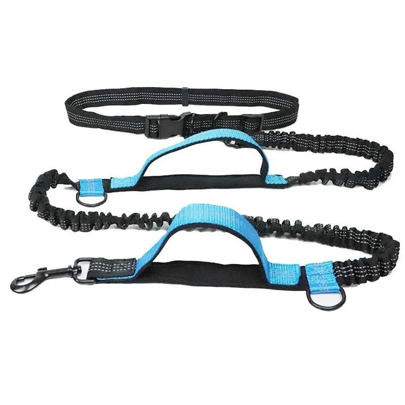 Hands-Free Dog Leash — Retractable Elastic Waist Belt for Running & Walking