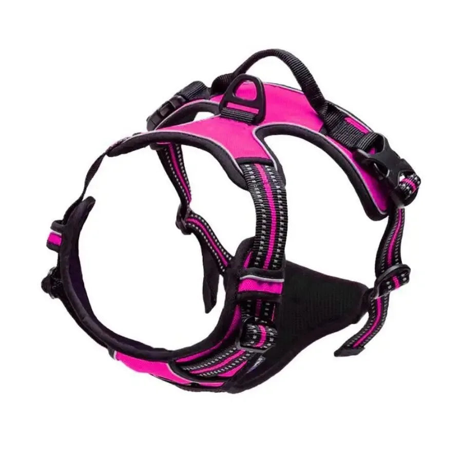 Dog Harness & Leash Set — Leather Vest for Small & Medium Dogs
