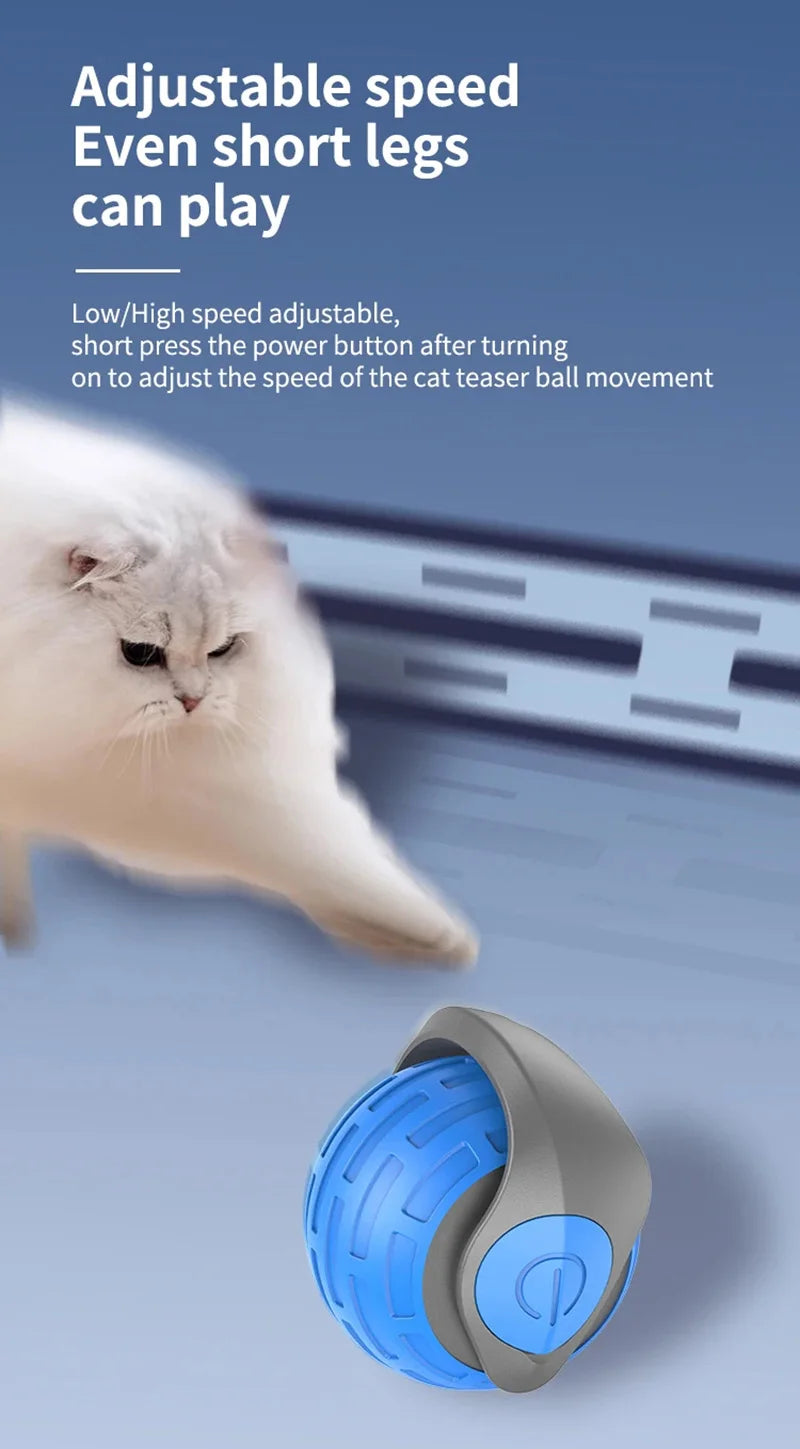 Smart Electric Rolling Cat Toy Ball — USB Rechargeable Auto-Moving Teaser