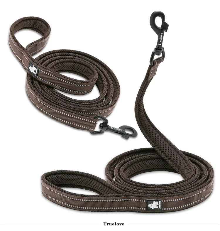 Reflective Dog Leash — Nylon Webbing with Zinc Alloy Hook for Small & Large Dogs