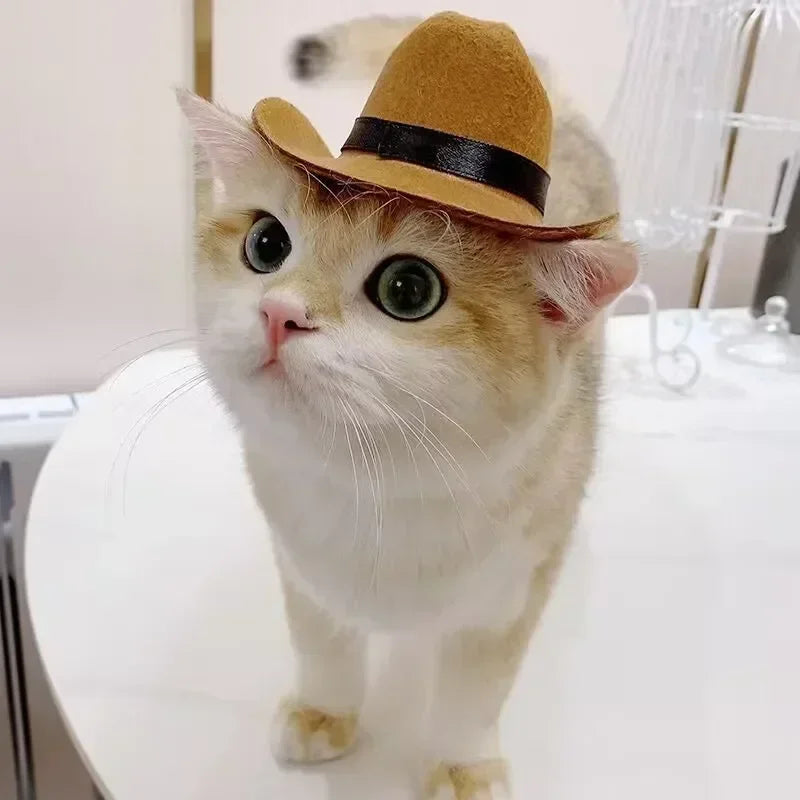 Western Cowboy Pet Hat