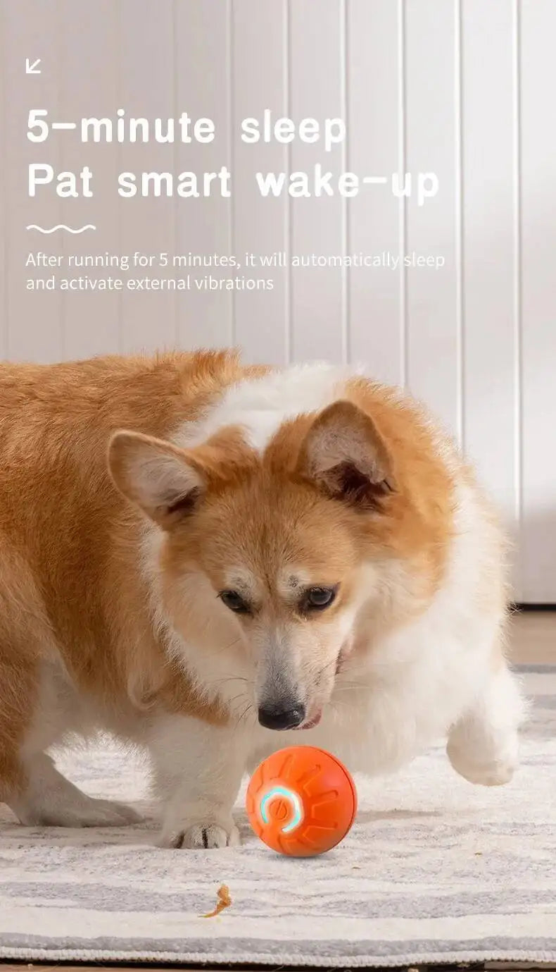 Smart Dog Toy Ball USB Rechargeable Auto Moving for Dogs & Cats