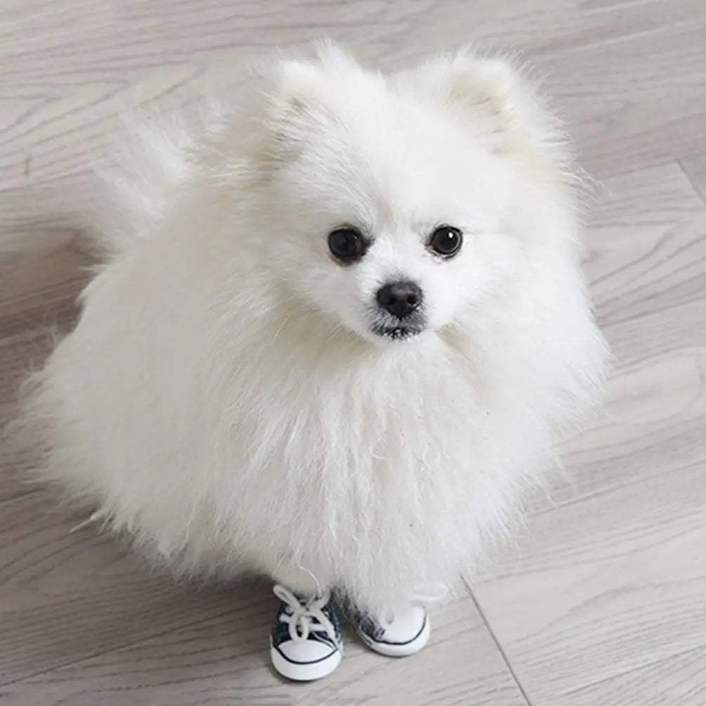 4pcs/set Fashion For Small Dogs,Cats Anti-slip Outdoor Breathable Pet Denim Shoes Pet Booties Dog Shoes Puppy Sneaker