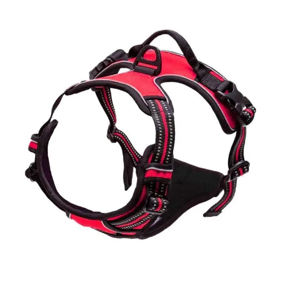 Dog Harness & Leash Set — Leather Vest for Small & Medium Dogs