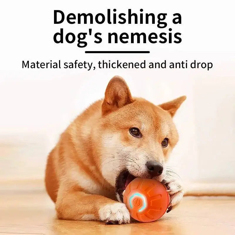 Smart Dog Toy Ball USB Rechargeable Auto Moving for Dogs & Cats