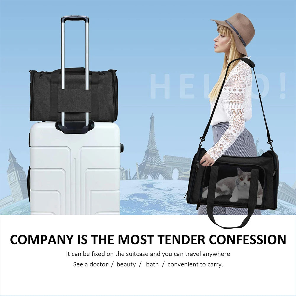 Airline Approved Soft Side Pet Carrier