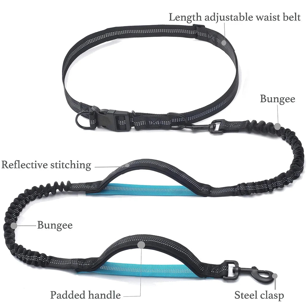 Hands-Free Dog Leash — Retractable Elastic Waist Belt for Running & Walking