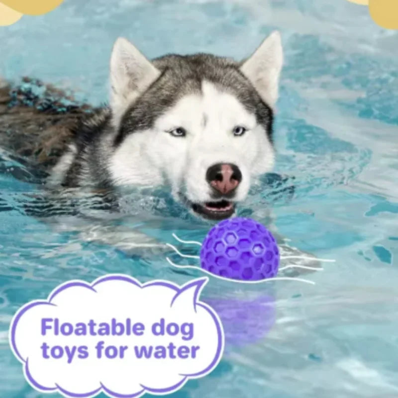 Bite-Resistant Honeycomb Dog Toy Ball — Natural Rubber Teething & Teeth Cleaning