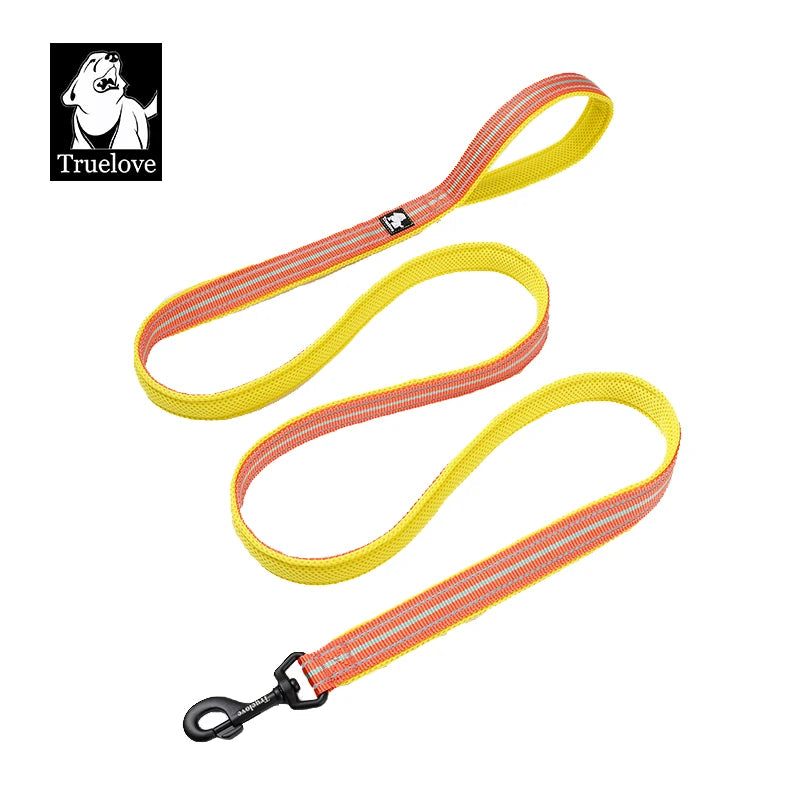 Reflective Dog Leash — Nylon Webbing with Zinc Alloy Hook for Small & Large Dogs