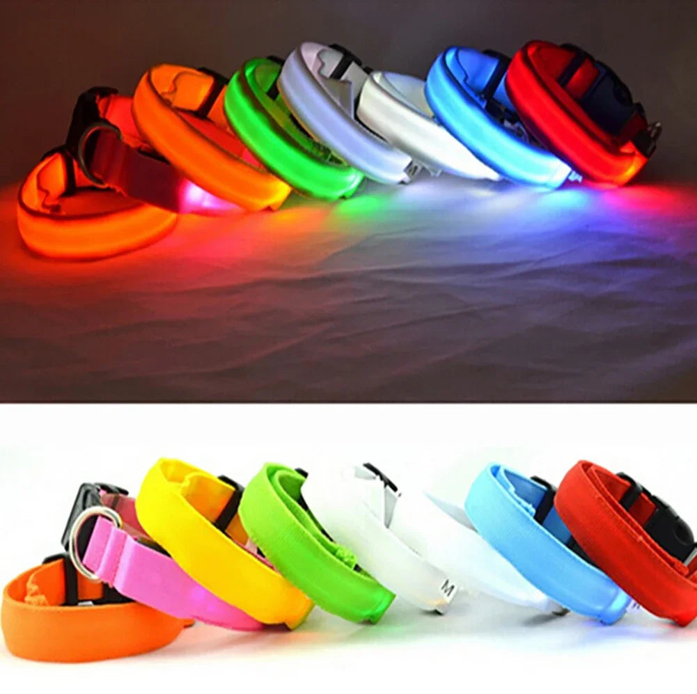 LED Glow Dog Collar — Anti-Lost Night Safety Collar for Small Dogs & Cats