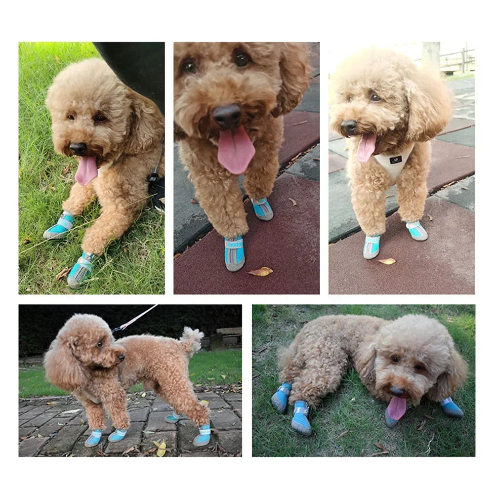 Pet Dog Shoes Lightweight Wear-resistant Breathable Fashion Dog Mesh Sneakers Puppy Boots Waterproof Footwear for Cat Reflective