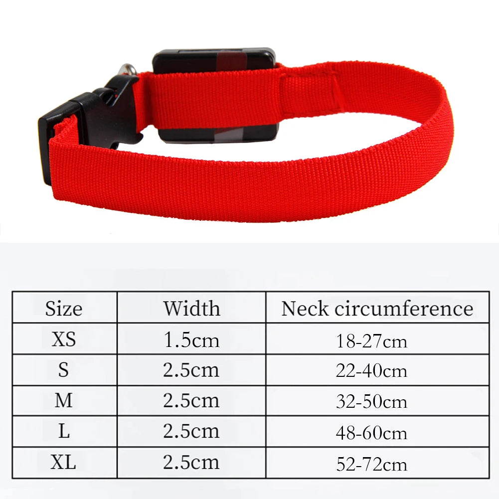 LED Glow Dog Collar — Anti-Lost Night Safety Collar for Small Dogs & Cats