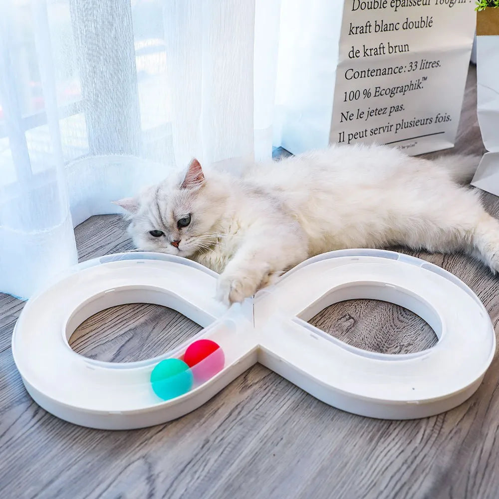 Cat Turntable Track Ball Toy — Interactive Boredom Buster with Catnip Stick