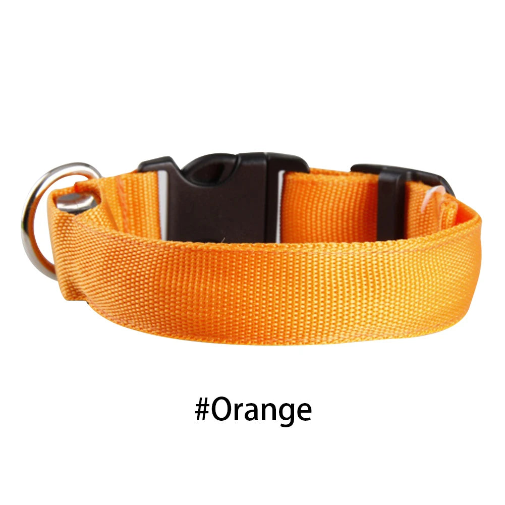 LED Glow Dog Collar — Anti-Lost Night Safety Collar for Small Dogs & Cats