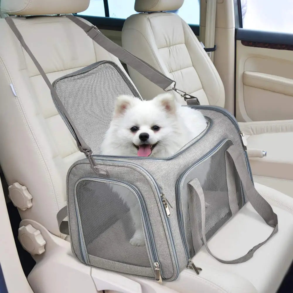 Airline Approved Soft Side Pet Carrier