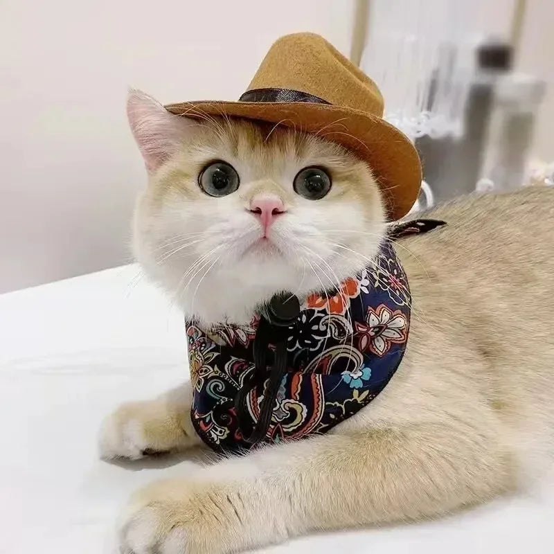 Western Cowboy Pet Hat