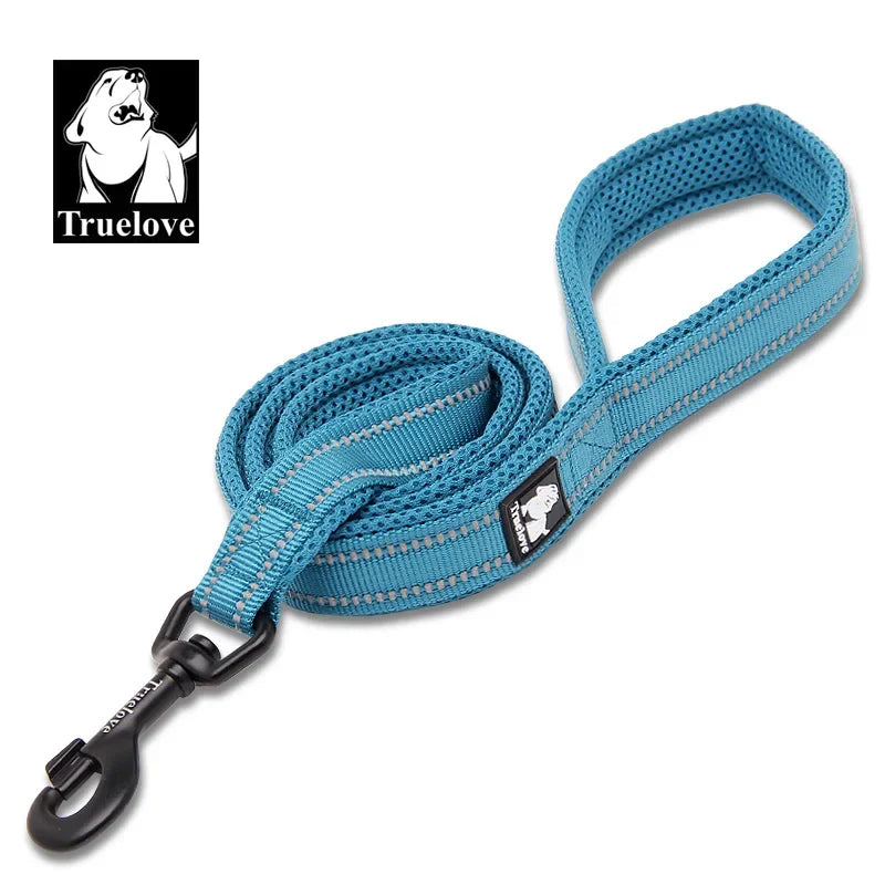Reflective Dog Leash — Nylon Webbing with Zinc Alloy Hook for Small & Large Dogs