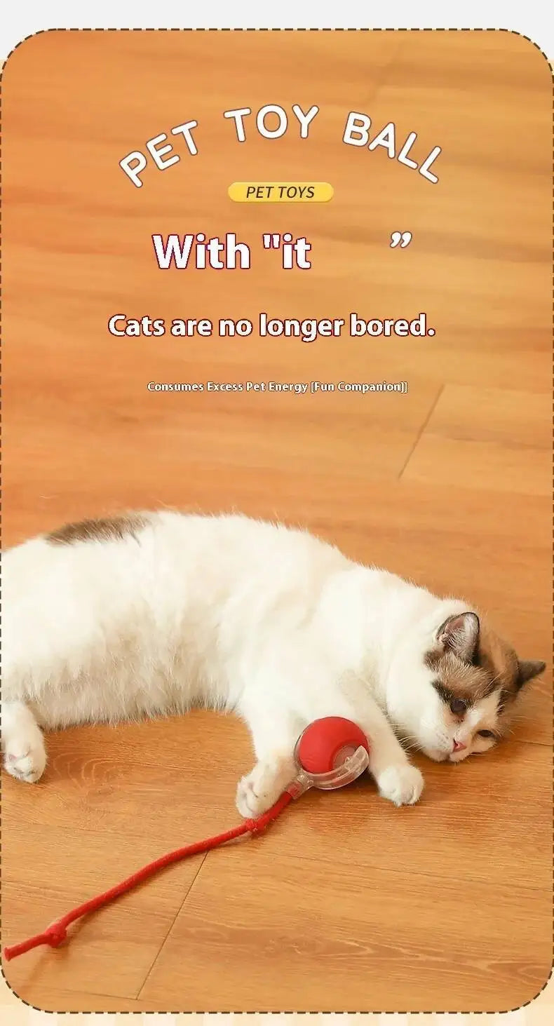 Smart Dog Toy Ball USB Rechargeable Auto Moving for Dogs & Cats
