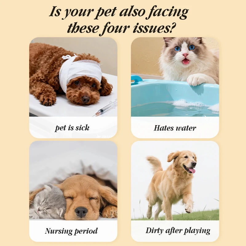 6 Pcs Pet Wipe Drip Molded Side Cat Dog Disposable Glove Cleaner Towels Bathing Cleaning Dry Cleaning Wipes Gloves