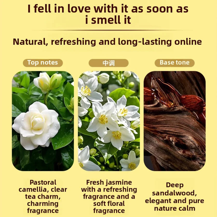 PetClear Pet Shampoo 500ml Plant Formula Flea Insect Repellent Deodorizing Detangling Natural Long-Lasting Fragrance