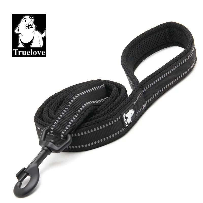 Reflective Dog Leash — Nylon Webbing with Zinc Alloy Hook for Small & Large Dogs