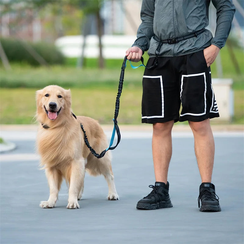 Hands-Free Dog Leash — Retractable Elastic Waist Belt for Running & Walking